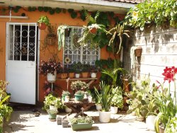 Zu Hause